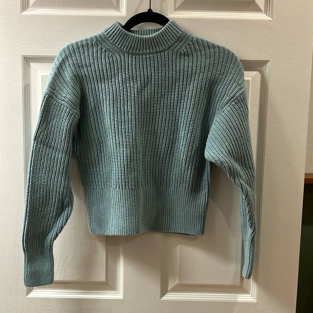 Everlane Organic Cotton crop knit sweater